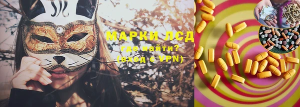 PSILOCYBIN Баксан